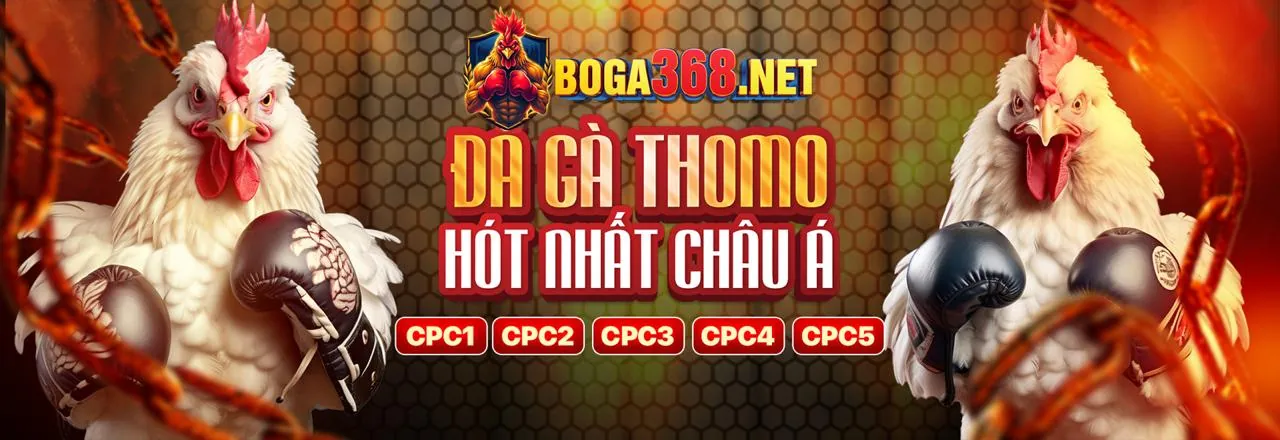 Hình ảnh đá gà Thomo trực tuyến tại ALO 789 Trại